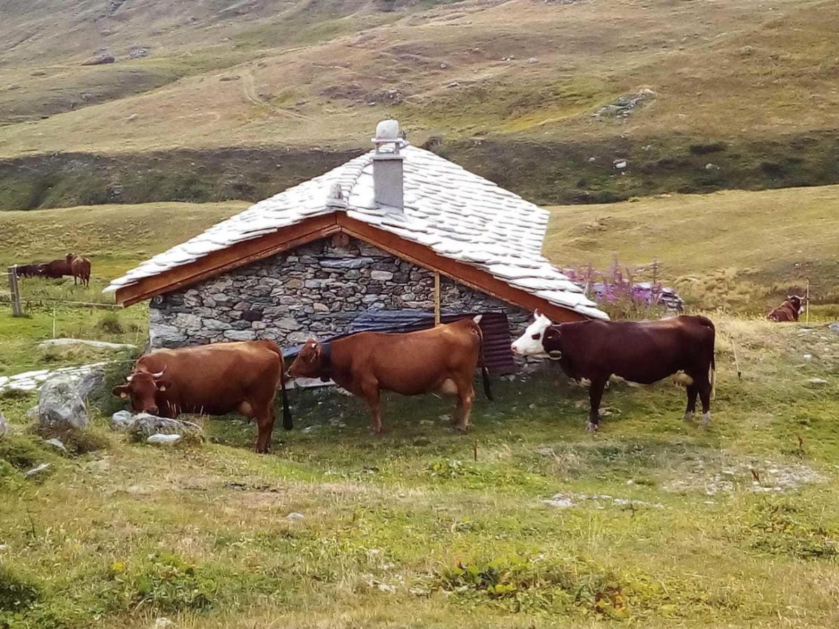 Les Balcons Proche Parc National Vanoise Appartements 2 Pieces 6 Pers Montagne Superieur テルミニヨン エクステリア 写真